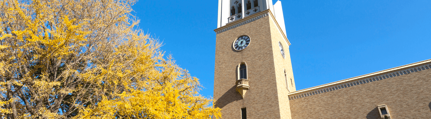 早稲田大学